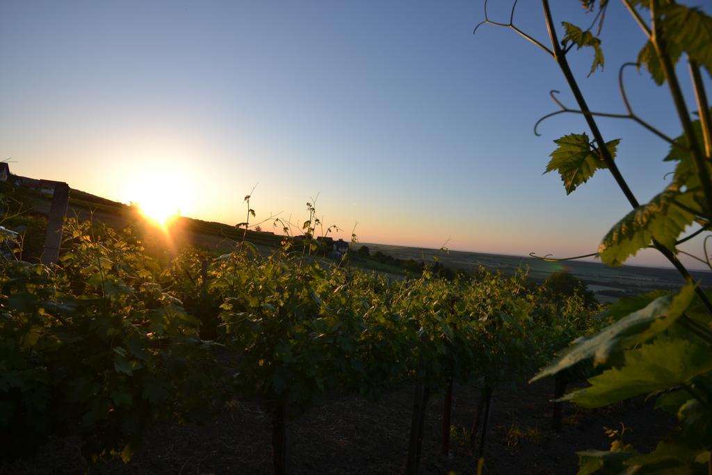Kellerstoeckl Nimm 2 Villa Rechnitz Rom bilde